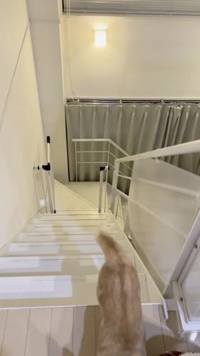 名前が分かるマロンくんとフランちゃん