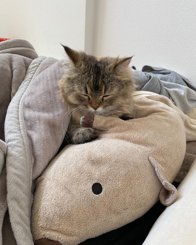 マロンくんとフランちゃん