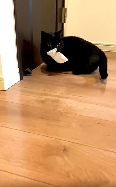 遠くから見てるくろよくん