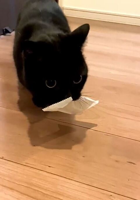 ひげ袋がふくらむくろよくん
