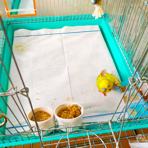 おじいちゃんインコのおうち最終形態