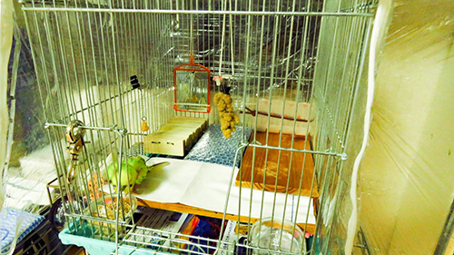 前面フローリングのお家