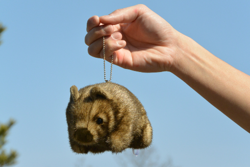 茶臼山動物園で発売されるウォンバットのボールチェーン