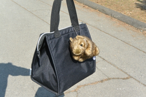 ウォンバットボールチェーン