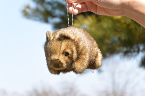 ウォンバットボールチェーン