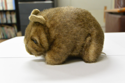 ウォンバットボールチェーン