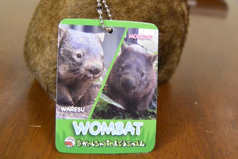 ウォンバットボールチェーン