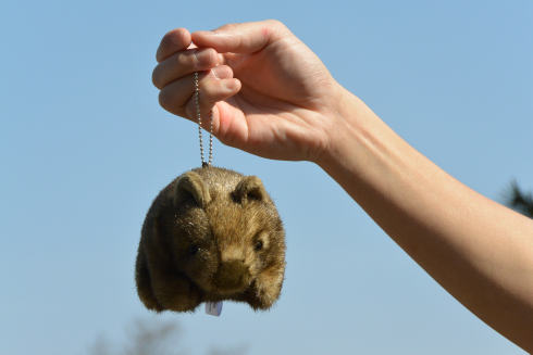 ウォンバットボールチェーン