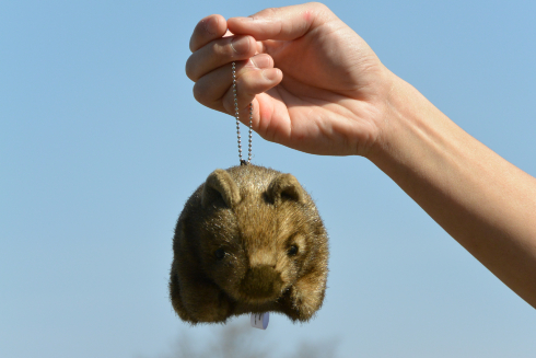 ウォンバットボールチェーン