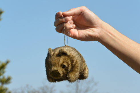 ウォンバットボールチェーン