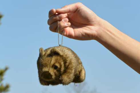 ウォンバットボールチェーン