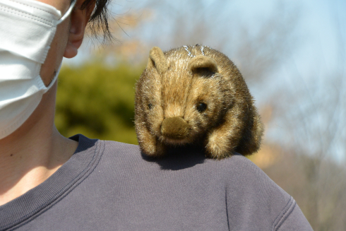 ウォンバットボールチェーン