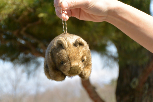 ウォンバットボールチェーン