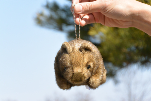 ウォンバットボールチェーン