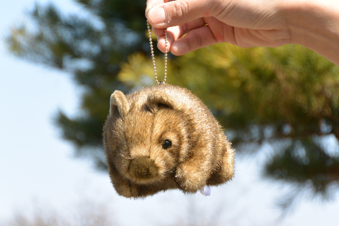 ウォンバットボールチェーン