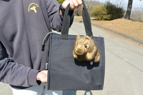 ウォンバットボールチェーン