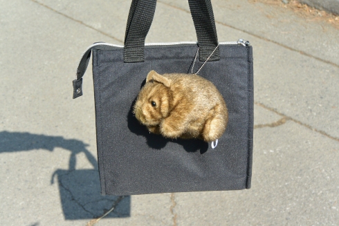 ウォンバットボールチェーン