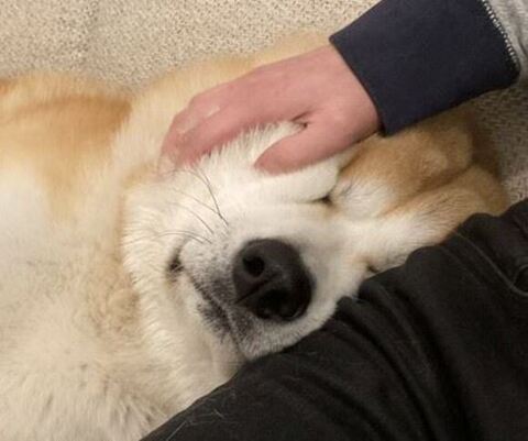 目が埋もれてる大吉くんアップ