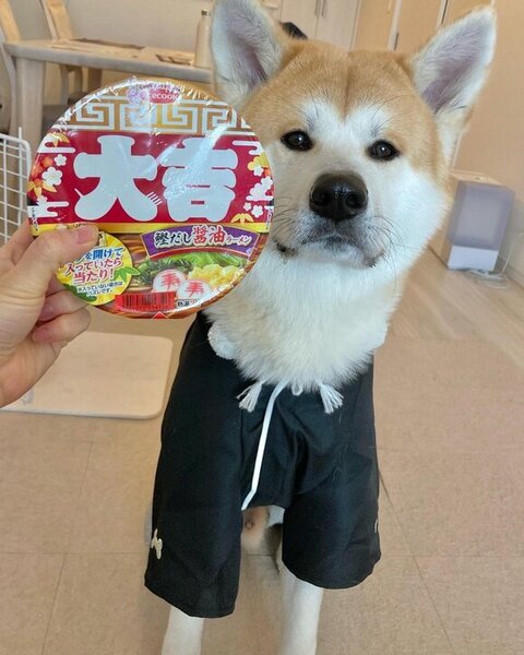 洋服着た大吉くん