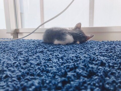 おすすめ