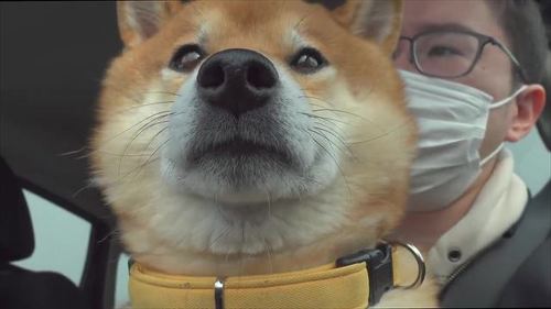 おすすめ