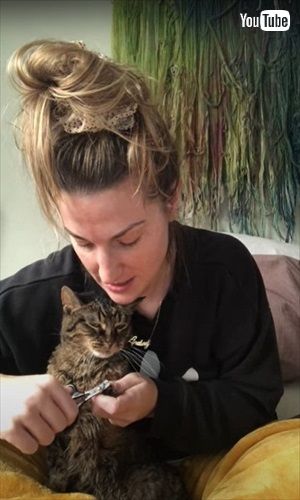 爪切りに抗議する猫ちゃん