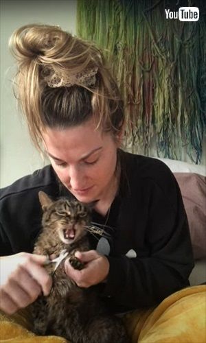 爪切りに抗議する猫ちゃん