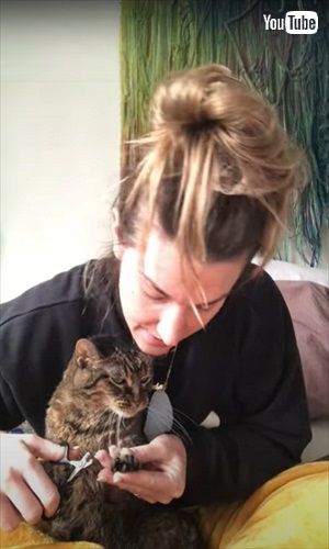 爪切りに抗議する猫ちゃん