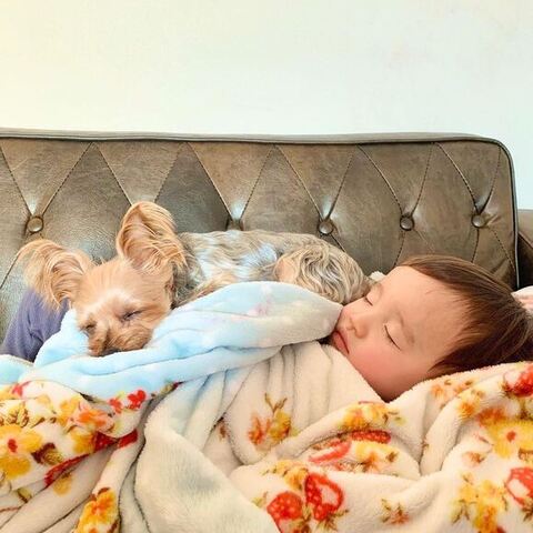 ソファで寝るふたり