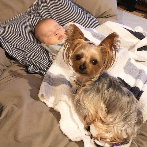 息子さんが寝てる横でのあちゃんが振り返る