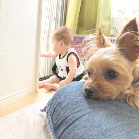 窓を見る息子さんの近くにのあちゃん