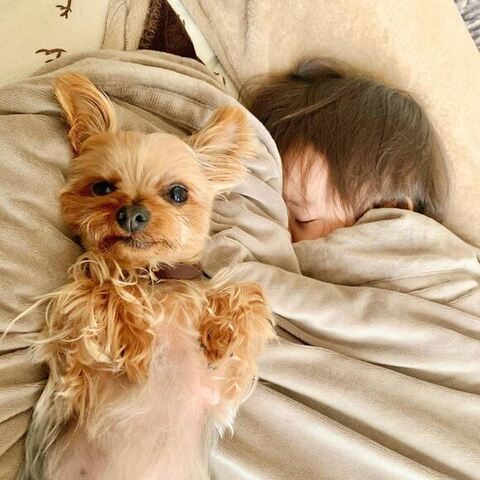 寝てる息子さんとおなかをだしてるのあちゃん