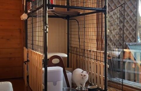 ケージの中のシロさん