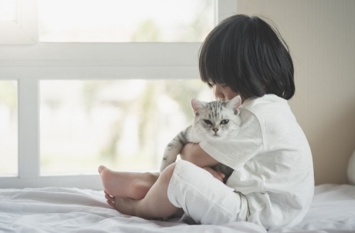 ペット手帳 ベストショット