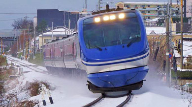 鳥取の駅弁 蟹蟹丼