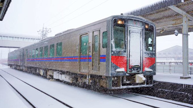 鳥取の駅弁 蟹蟹丼