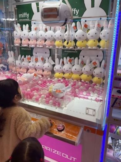 妹にUFOキャッチャーでぬいぐるみをとってあげるお姉ちゃん