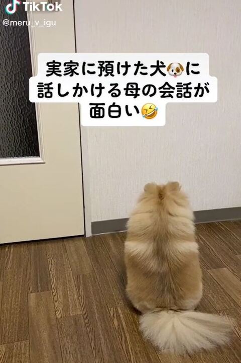 後ろ姿のメルちゃん