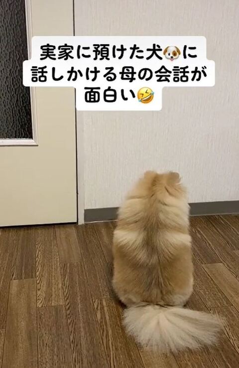 うつむいてるメルちゃん