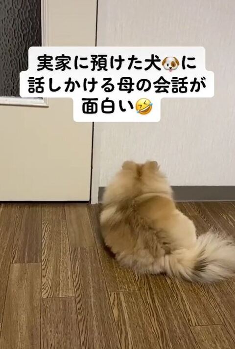 座り込んだメルちゃん