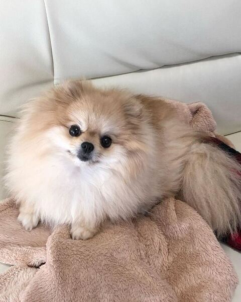 メルちゃんおめめキラキラ