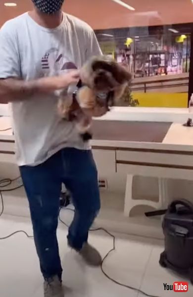 足をバタバタさせるワンコ