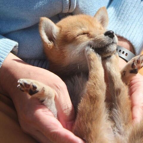 足がアゴにささってる