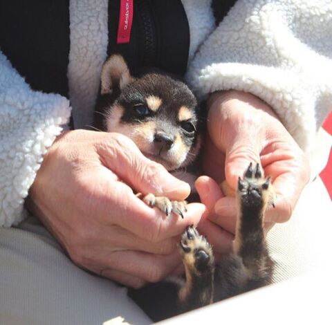 寝てる息子さんとおなかをだしてるのあちゃん