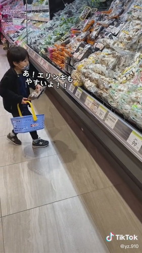 「きのこオタクの日常」