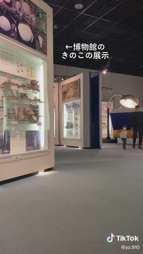 「きのこオタクの日常」