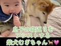 寝返りしようとする赤ちゃんを、柴犬が手助けして……　優しい姿に「何をしたいか理解してる」「ナイスアシスト！」と称賛の声