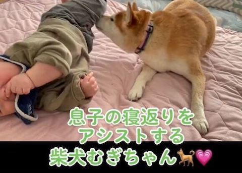 サポートするむぎちゃん