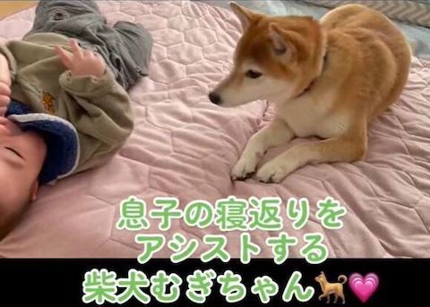 ねって返事するまゆげくん