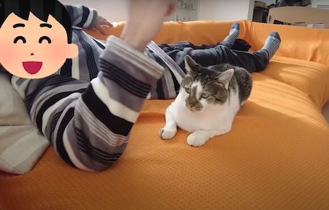 パパさんを見るささみくん